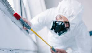 Pest Control for Hotels in Bunker Hill, IL